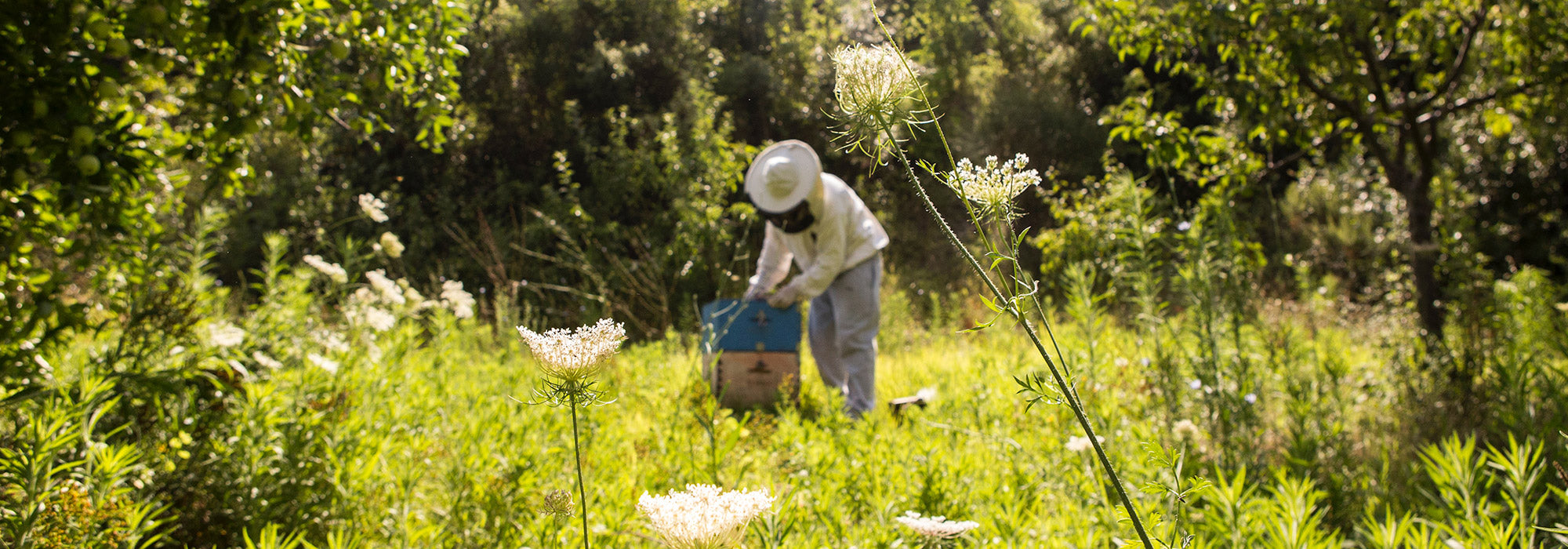 Tips and Swaps for a More Organic Lifestyle