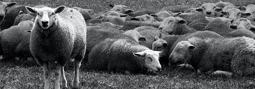 Sleeping Habits Across the UK