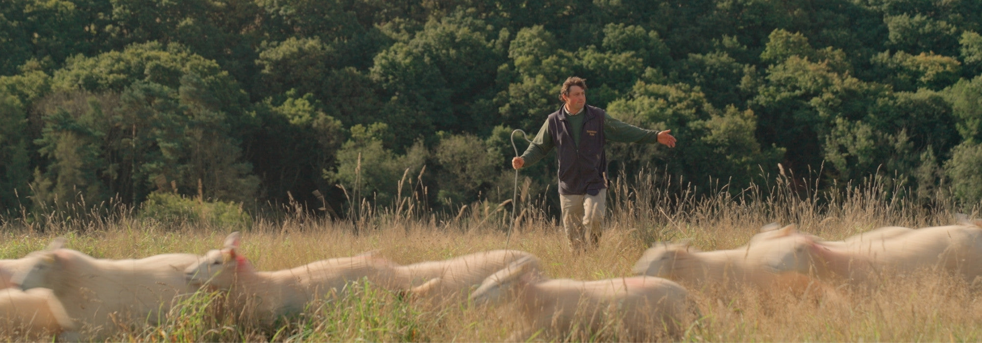 From Soil to Sleep: A Conversation with Oliver Walker of Essebeare Farm