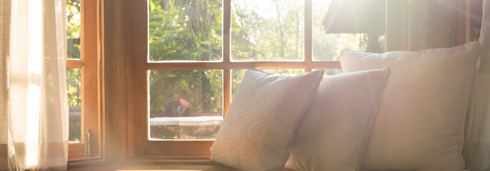 A Guide To The Circadian Rhythm