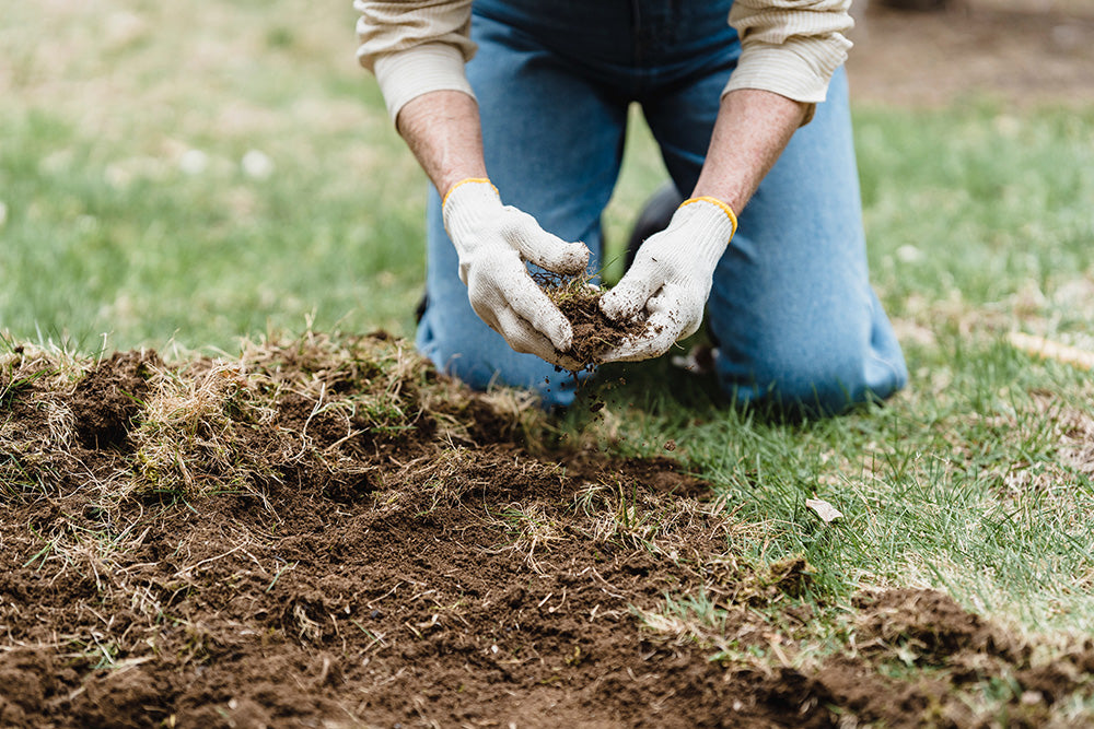 Regenerative Farming: The what, why and how