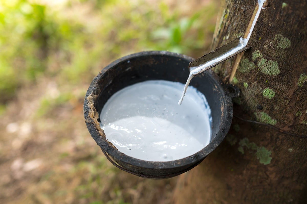 What is natural latex and how do we use it?