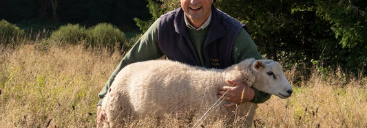 Why Does Wool Mean So Much To Us?