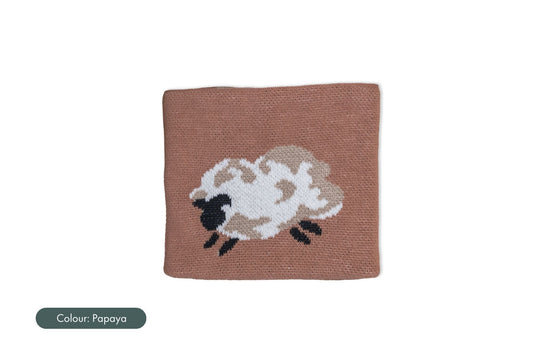 Baa Baa Blanket
