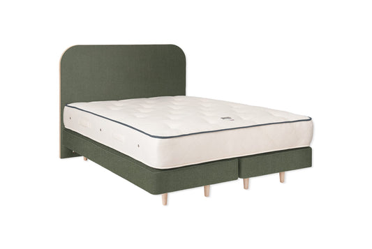 The Heybrook Bed | Cotton_Velvet - Eucalyptus