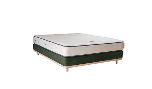 The Otterton Base | Cotton_Velvet - Evergreen