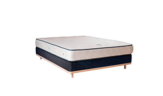 The Otterton Base | Cotton_Velvet - Marine