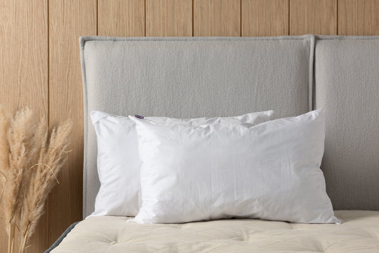The Organic Wool Pillow